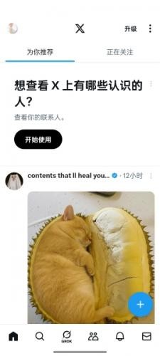 X推特回复评论教程1
