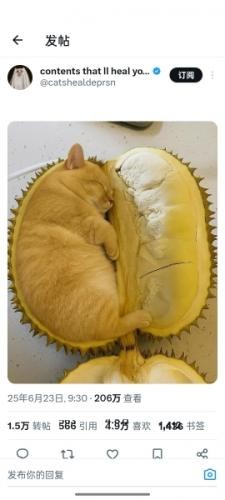 X推特回复评论教程2