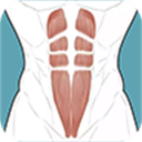 跟我练腹肌 v3.1.0安卓版